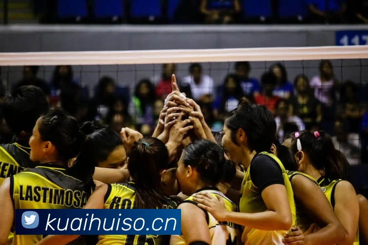 开云官方入口app下载安装官网服务体系